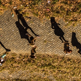 Birdseye view of people walking, their shadows cast long on the ground